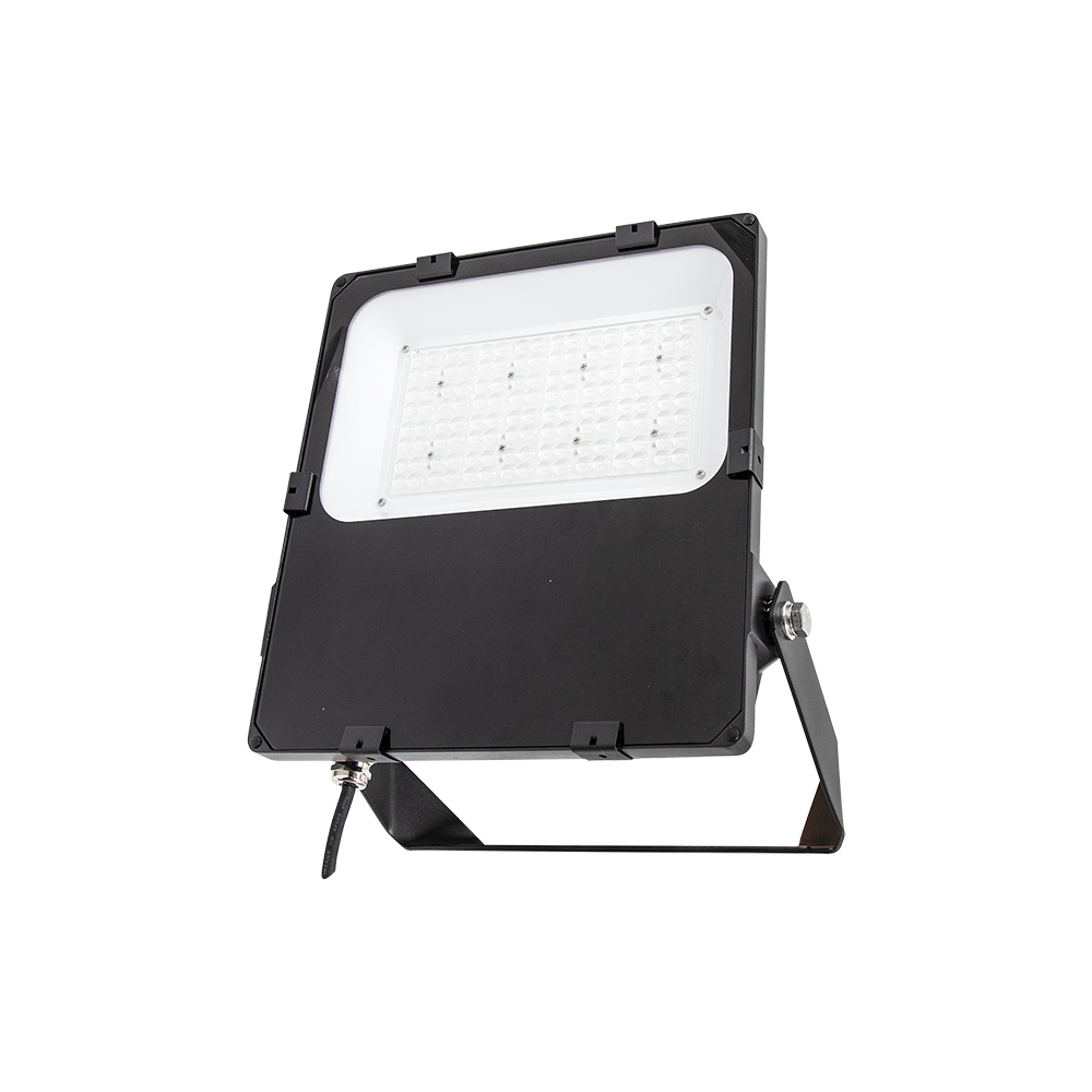 EX201 100W LED Exterior Floodlight for Commercial Buildings