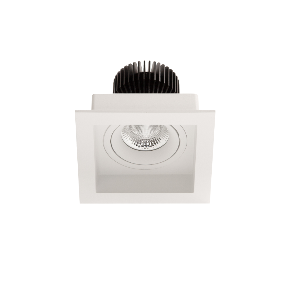 Triton 1 Light Single LED Downlight