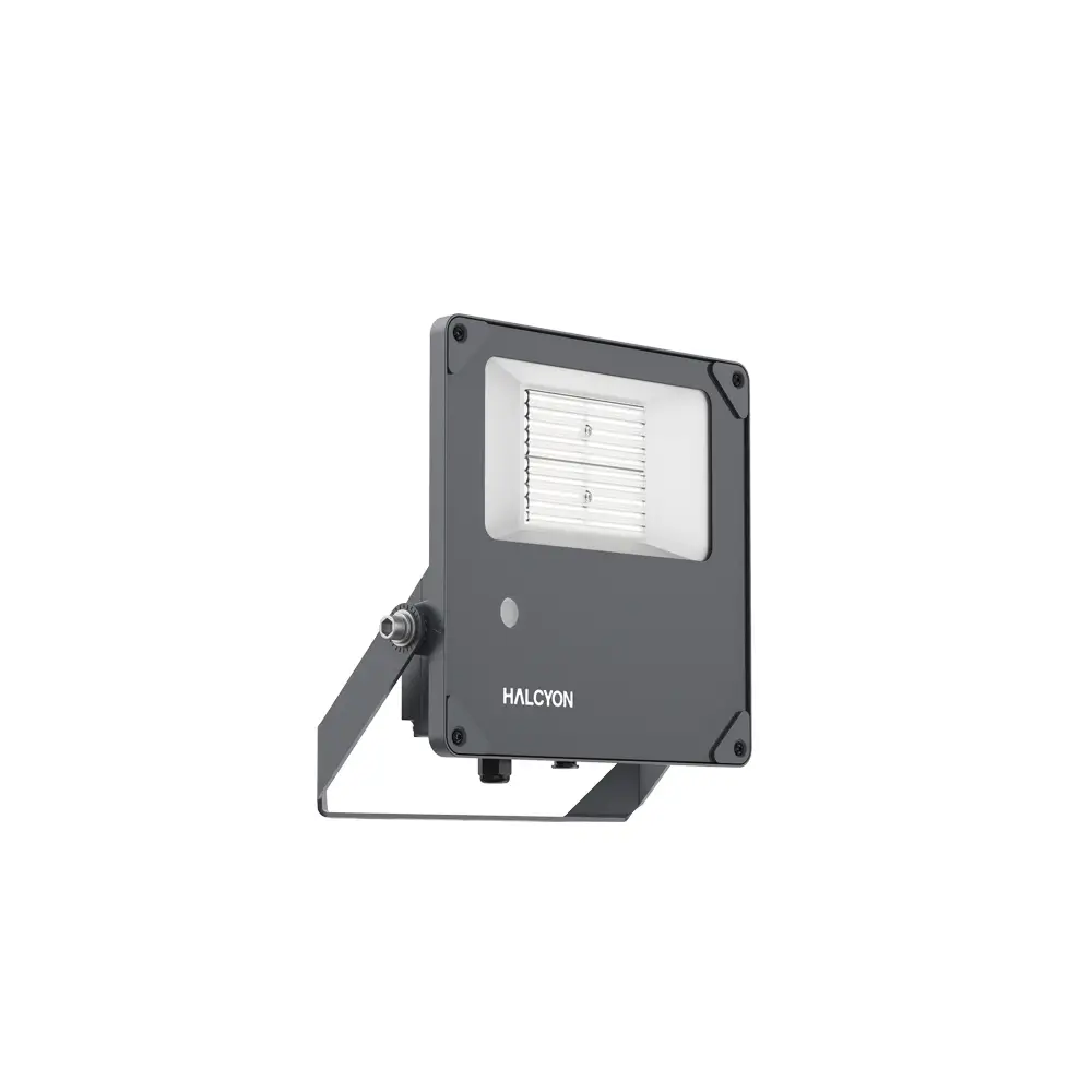 Product image of X501 Morepork Floodlight 50W