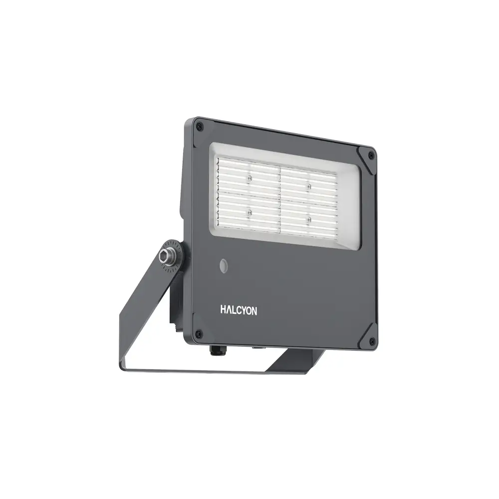 Product image of X501 Morepork Floodlight 100W