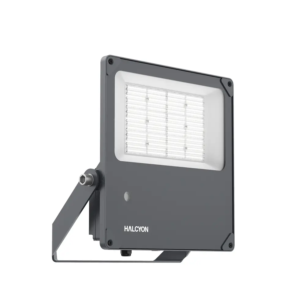 Product image of X501 Morepork Floodlight 150W