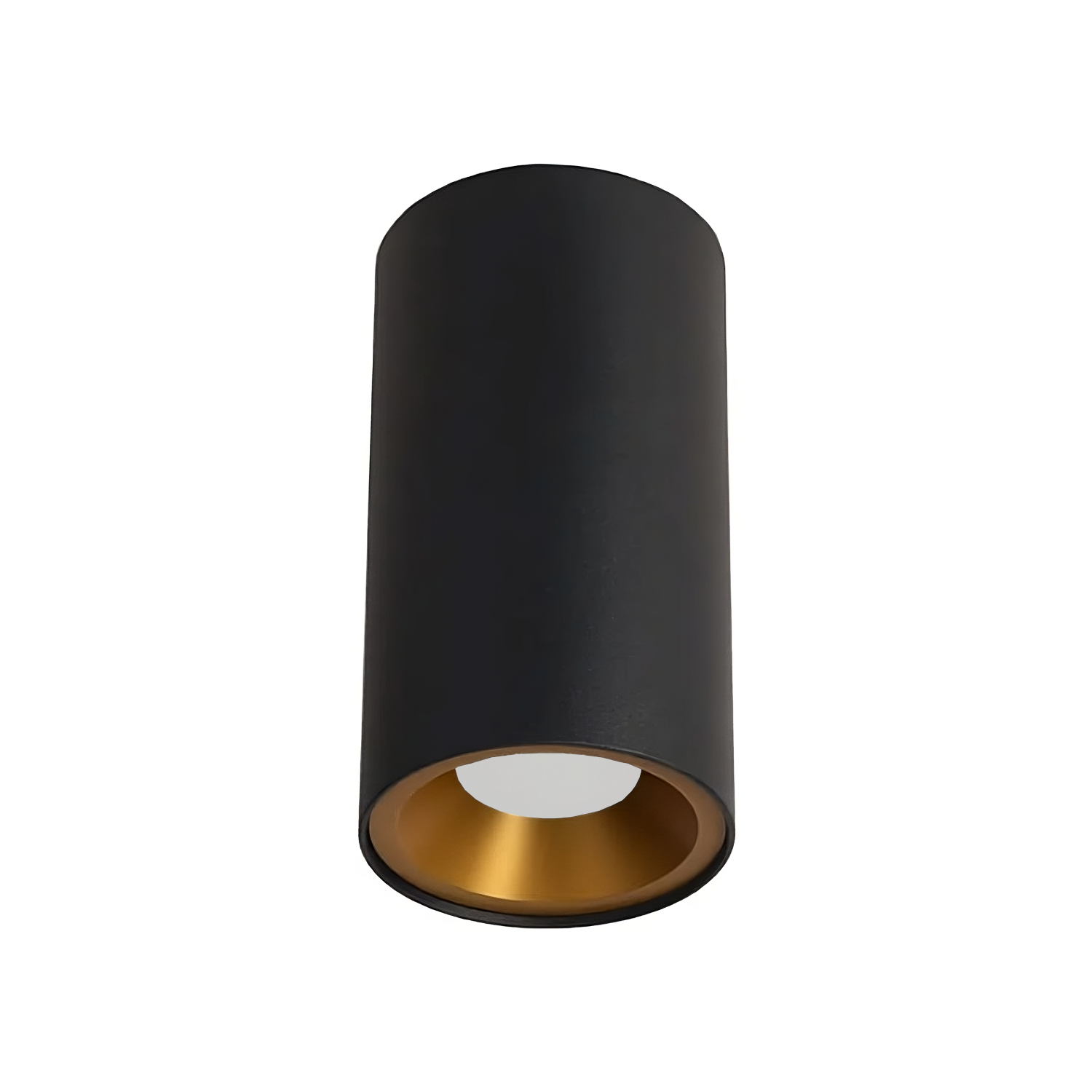 Product image of Zela Surface Mount with Opal Lens Black with Gold Inner