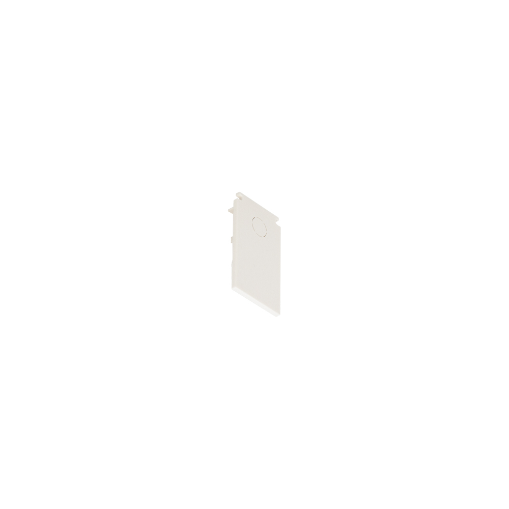 Product image of T802-DSMW-EC Encap for 48V Track Standard White