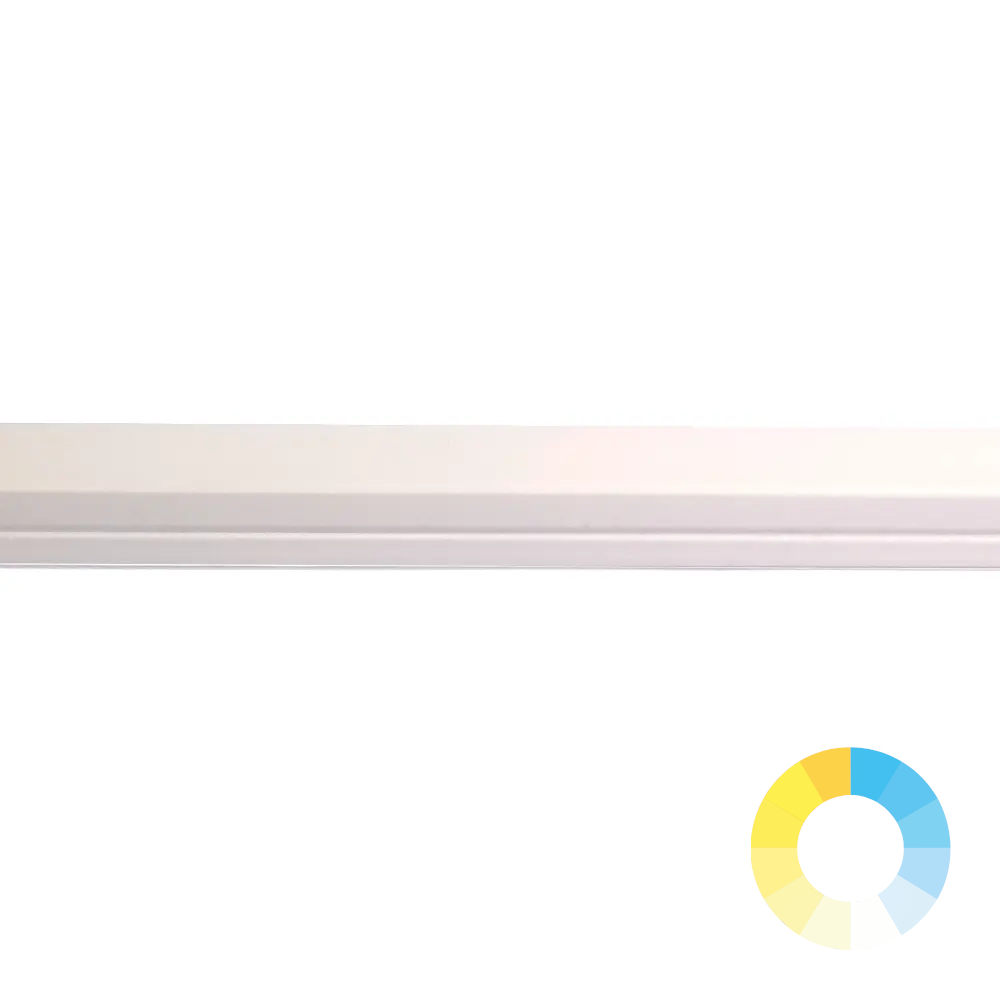 Product image of LED Neon Strip 12 x 12mm