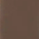 Matt Bronze
